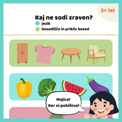 Kaj ne sodi zraven?